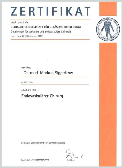 Zertifikat Endovaskulärer Chirurg Dr. med. Markus Sieggelkow